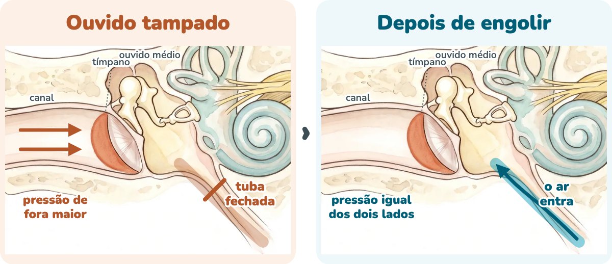Ilustração da orelha em corte em dois quadros. No primeiro, com o ouvido tampado, setas no canal mostram a pressão de fora maior e a tuba auditiva, que desce do ouvido médio, está fechada. No segundo, depois de engolir, a tuba se abre, o ar entra no ouvido médio e a pressão fica igual dos dois lados do tímpano.